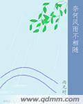 风雨共相随