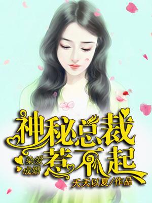 替嫁成婚神秘总裁