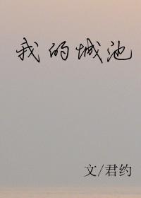 我的城池君约无防盗完整版