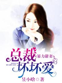 我的总裁女友游戏破解版