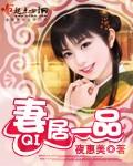 妻居一品 夜惠美