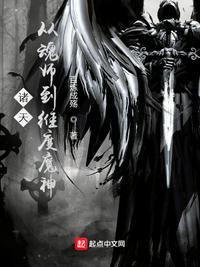 诸天从魂师到维度魔神作者百炼成殇