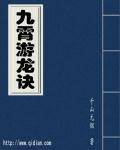 九霄游鸿简介